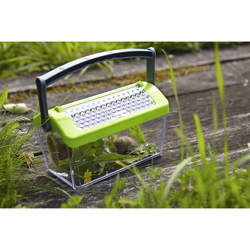 Haba insektsboks