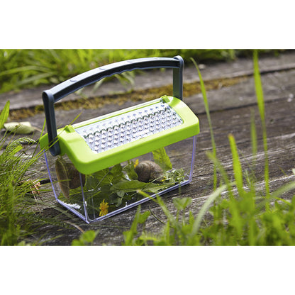 Haba insektsboks