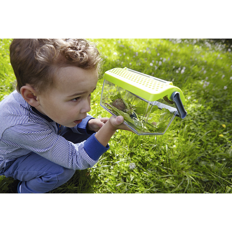 Haba insektsboks