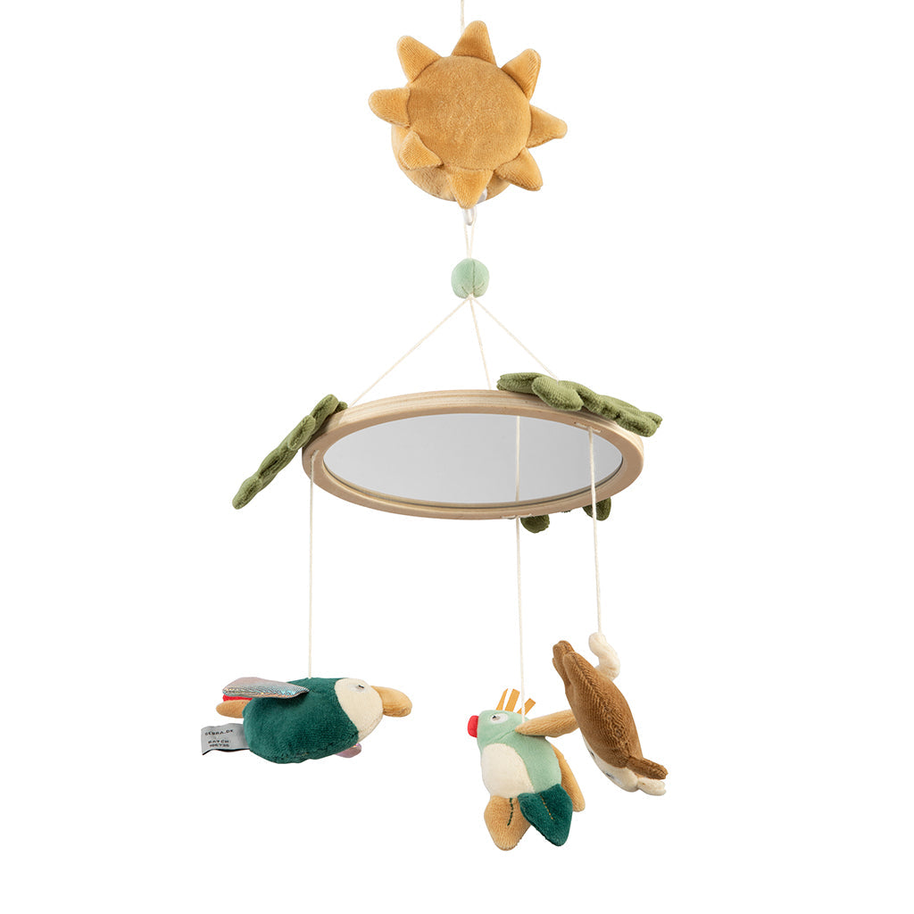 Sebra musikk- og speilmobil - Wildlife