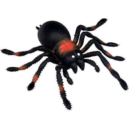 Wild+ cool, Kjelleredderkopp - XXL