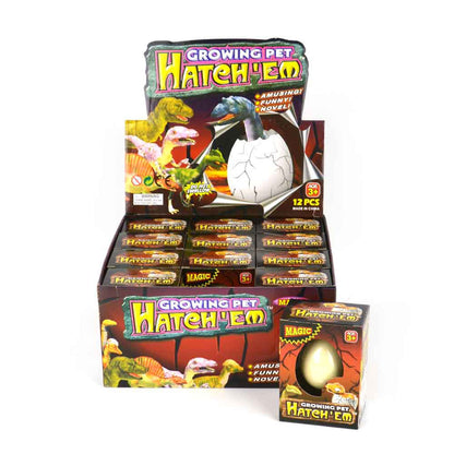 Robetoy egg med dinosaur som vokser i vann