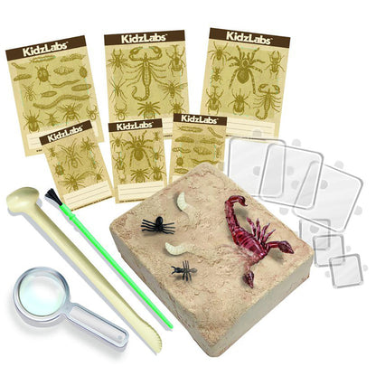 4M KidzLabs, eksperimentsett - Creepy crawly digging kit