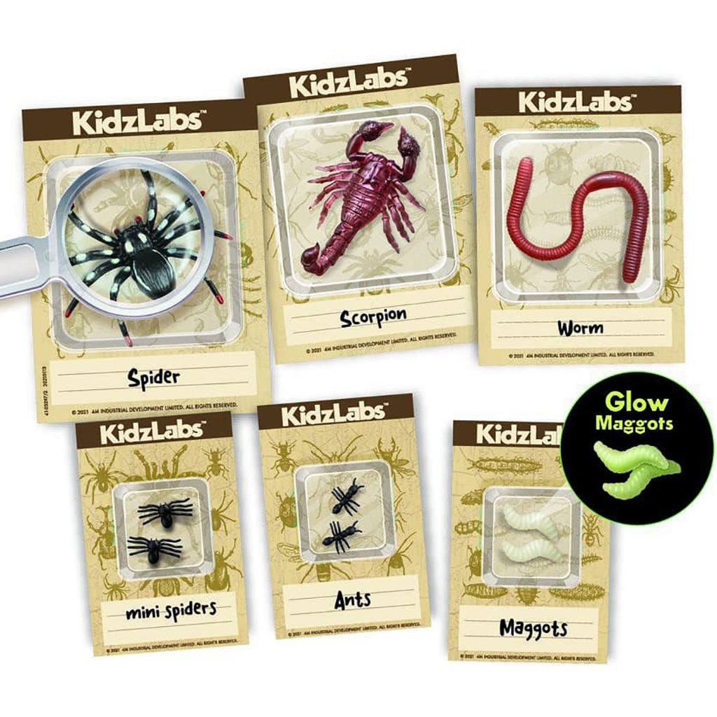 4M KidzLabs, eksperimentsett - Creepy crawly digging kit