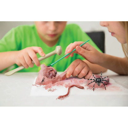 4M KidzLabs, eksperimentsett - Creepy crawly digging kit