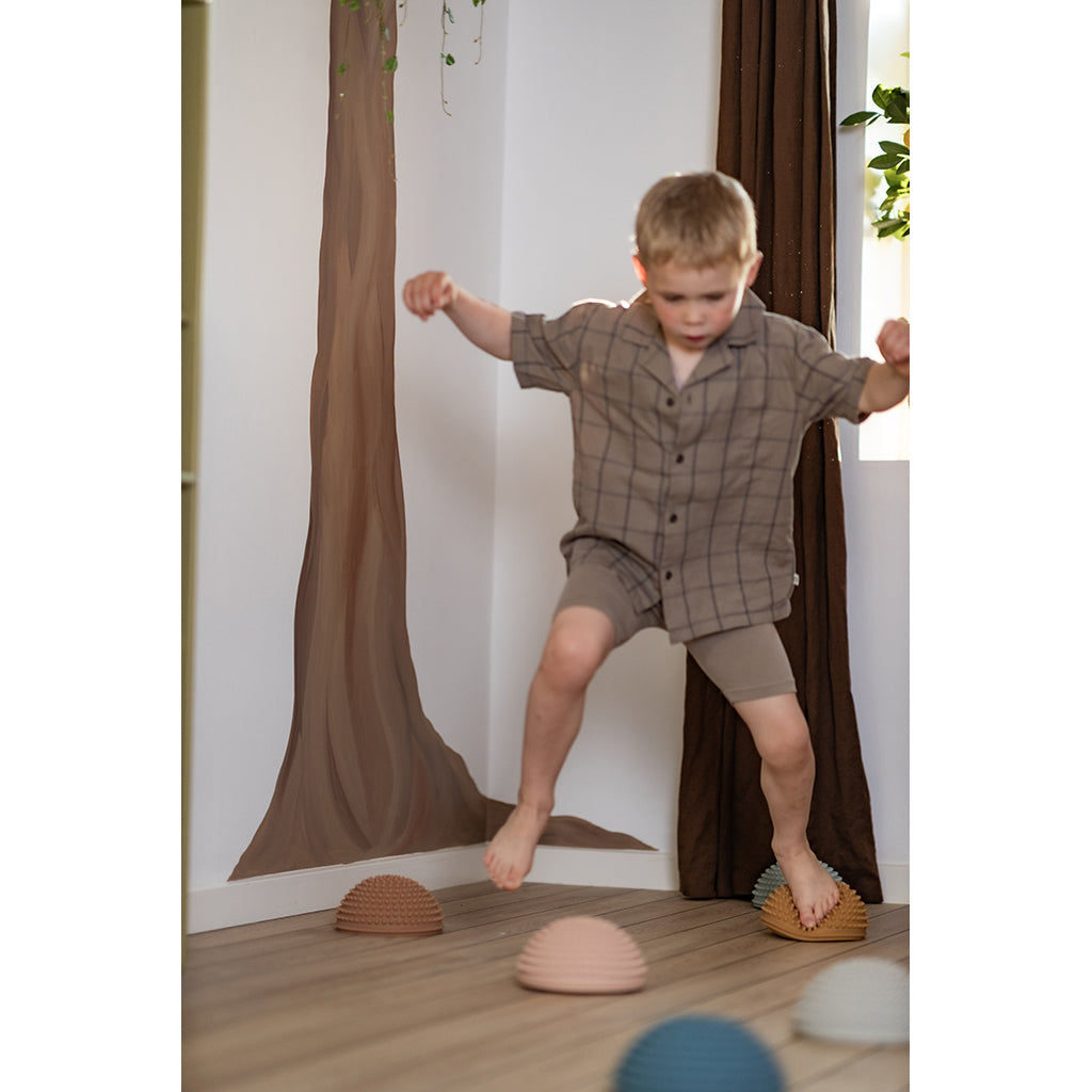 Find that Hippo, Sansesten, sett med 4 stk - Solnedgang