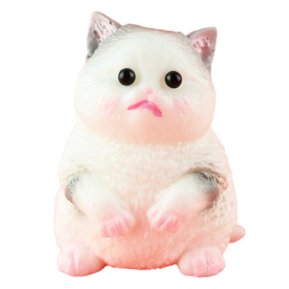 Robetoy squishy katt