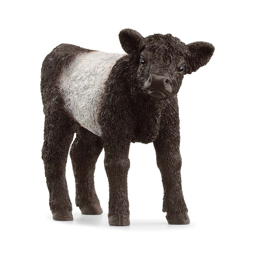 Schleich Galloway kalv i sort og hvid