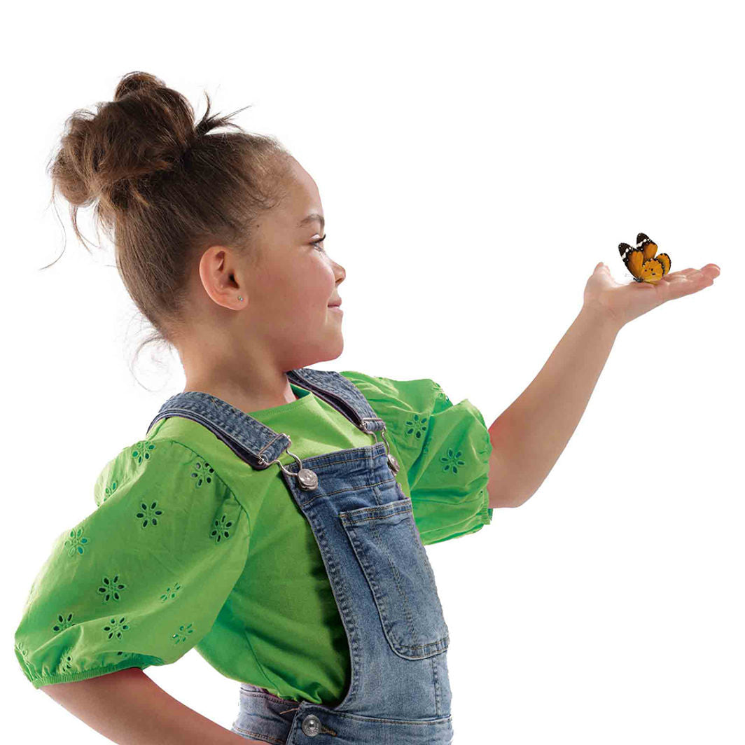 SES Creative Insektshotell, Sommerfugler