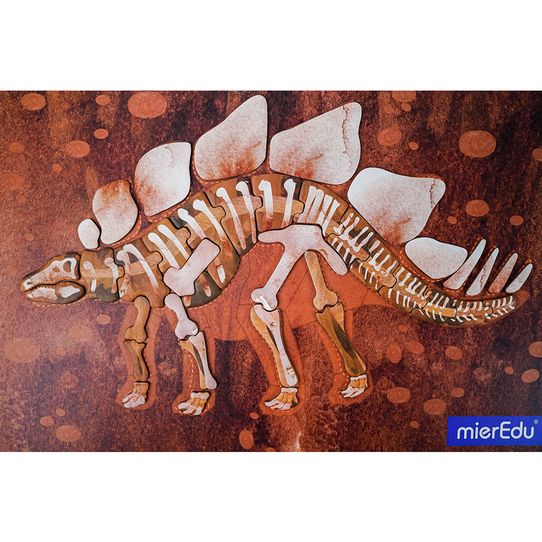 mierEdu, Magnetisk legetavle/puslespill - Stegosaurus
