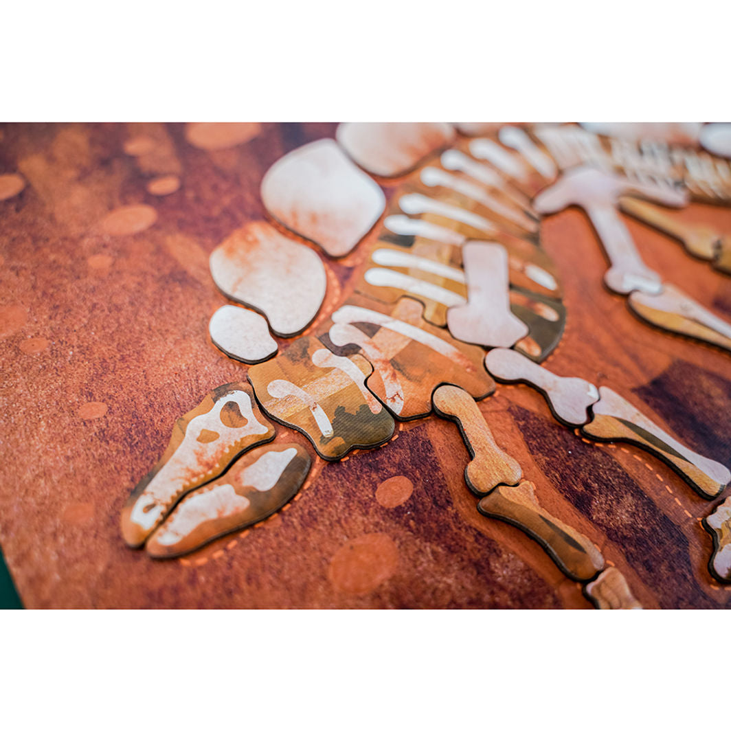 mierEdu, Magnetisk legetavle/puslespill - Stegosaurus