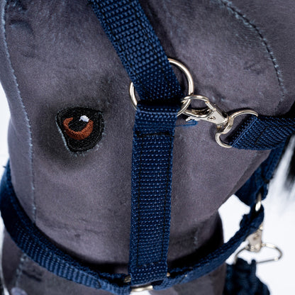 By Astrup Grime og leietau, Blå (uten kæphest)