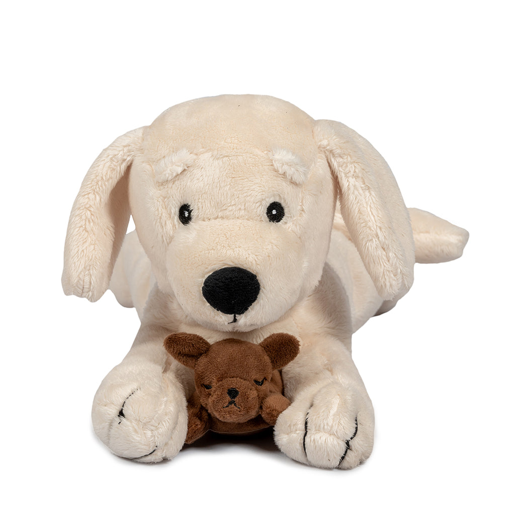 By Astrup plys hund med valper