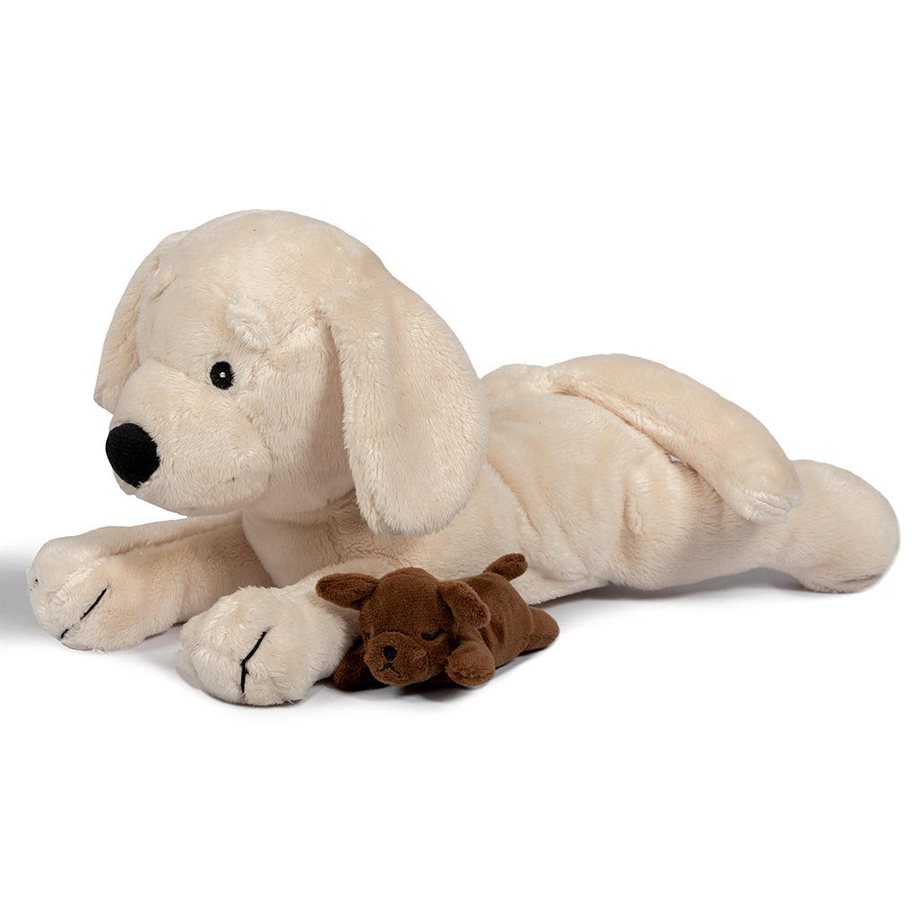By Astrup plys hund med valper