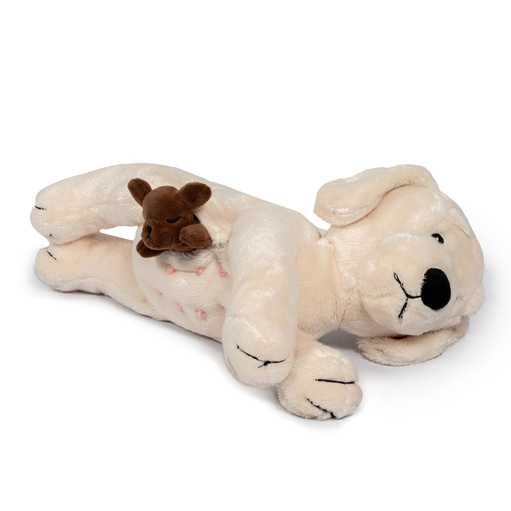 By Astrup plys hund med valper