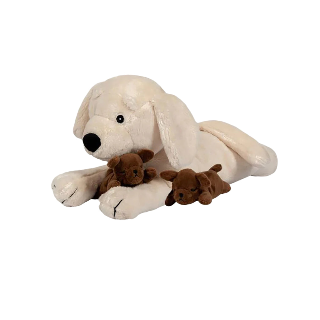 By Astrup plys hund med valper