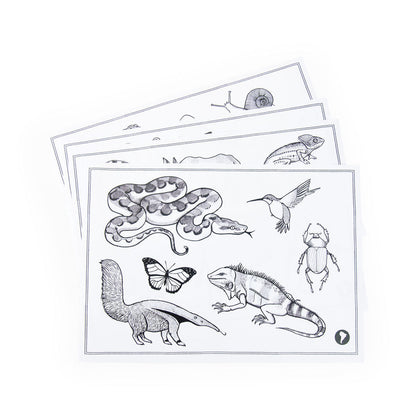 Moulin Roty Tegnetavle med lys, Tout autour du monde