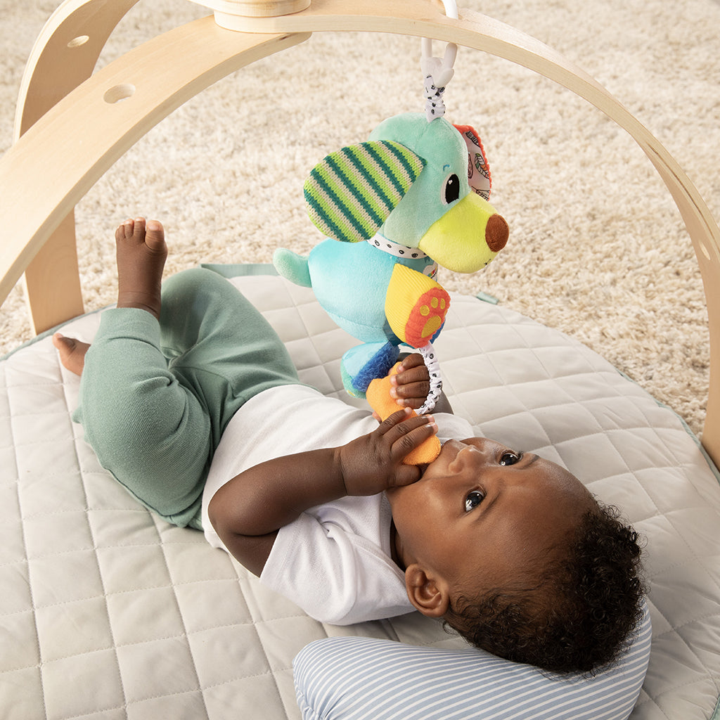 Lamaze Pupsqueak, Hund med lyd