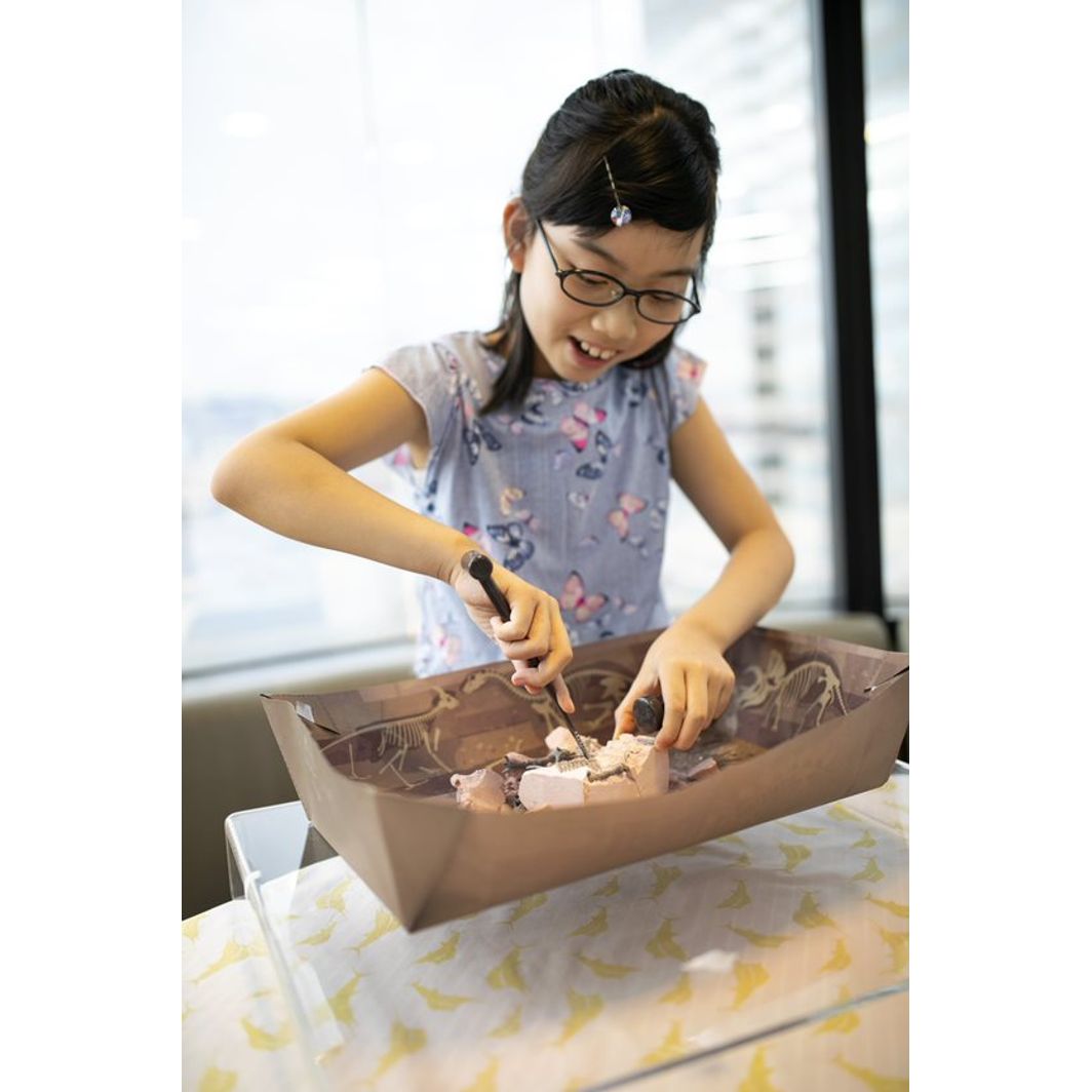 4M Steam powered kids, Dinosaurenes verden