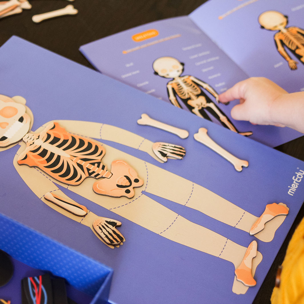 mierEdu, Magnetisk lekesett - Lær om kroppens funksjoner