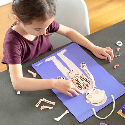 mierEdu, Magnetisk lekesett - Lær om kroppens funksjoner