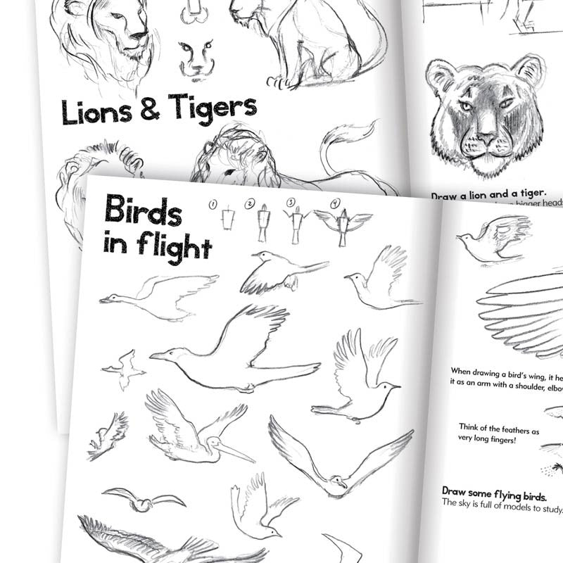 Artbook, lær å tegne dyr - for barn fra 7 år