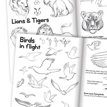 Artbook, lær å tegne dyr - for barn fra 7 år