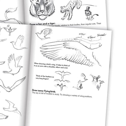 Artbook, lær at tegne dyr - for børn fra 7 år