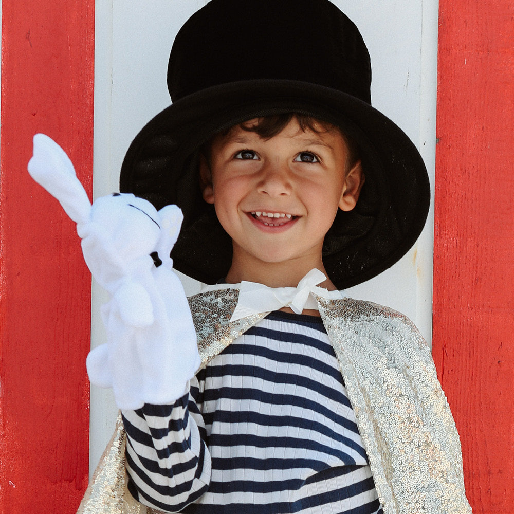 Marvins Magic tryllesett, Rabbit &amp; Top hatt