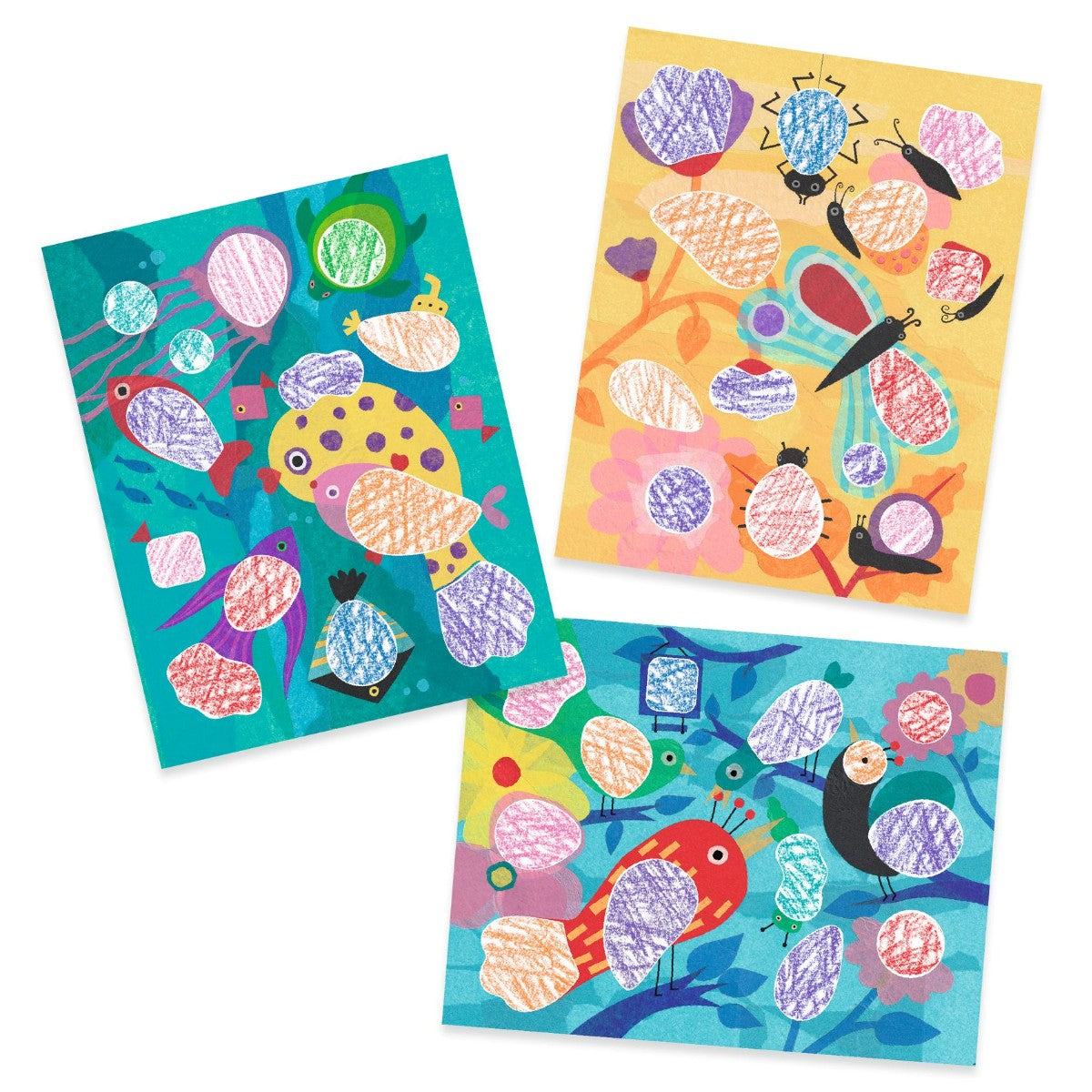 Djeco Fargeleggingssett, Fugler &amp; Co.