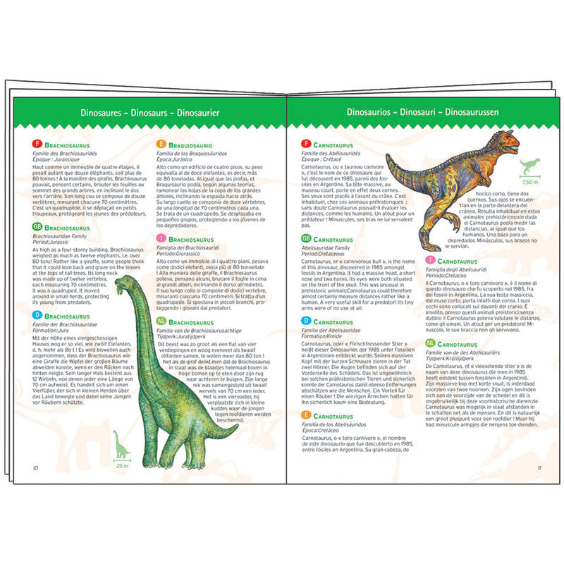 Djeco puslespil, dinosaur - 100 brikker + bog