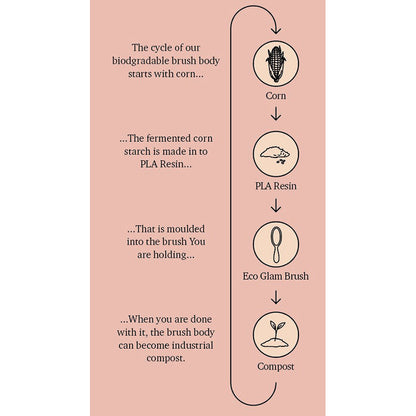 Fan Palm hårbørste, Eco Glam - Medium