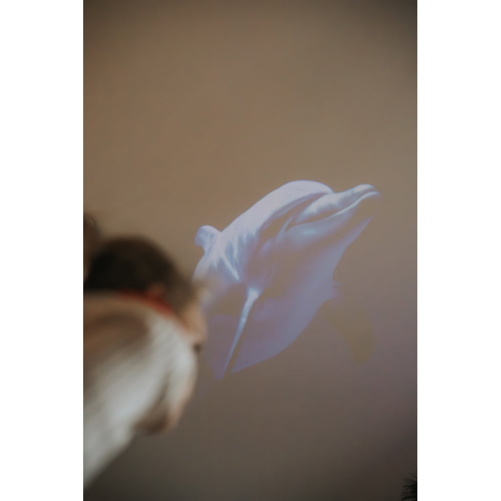 Kidystar, roterende billedprojektor – Ocean/hav-tema