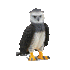 Schleich ørn, Harpy Eagle