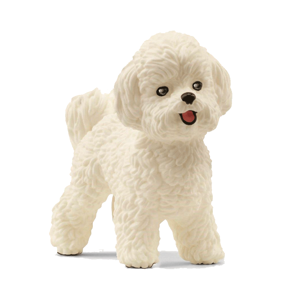 Schleich Bichon Frisé hundefigur i gif-format