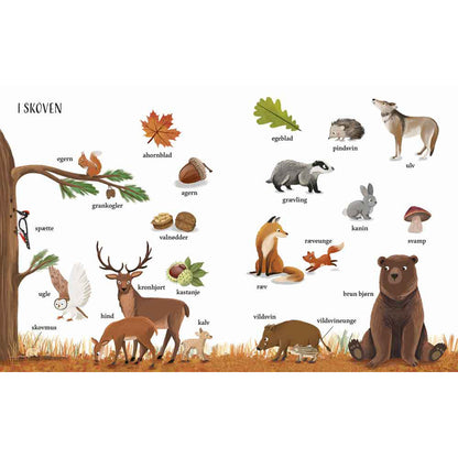 Forlaget Bolden, Jeg ser på: Naturen med min store bildebok