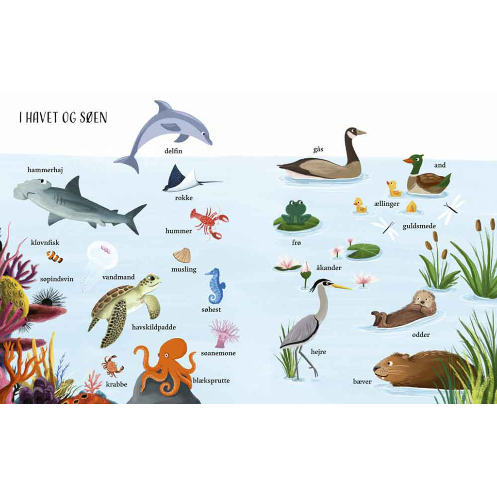 Forlaget Bolden, Jeg ser på: Naturen med min store bildebok