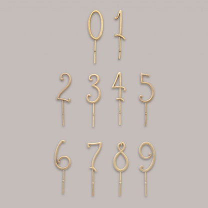 Konges Sløjd Bursdagstog, Sirkuskaravane