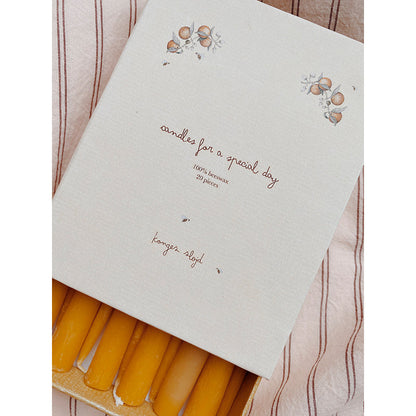 Konges Sløjd lys til bursdagstog