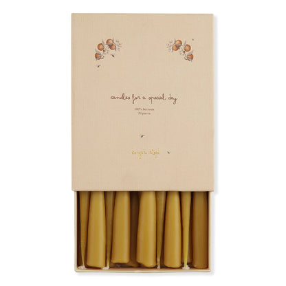 Konges Sløjd lys til bursdagstog