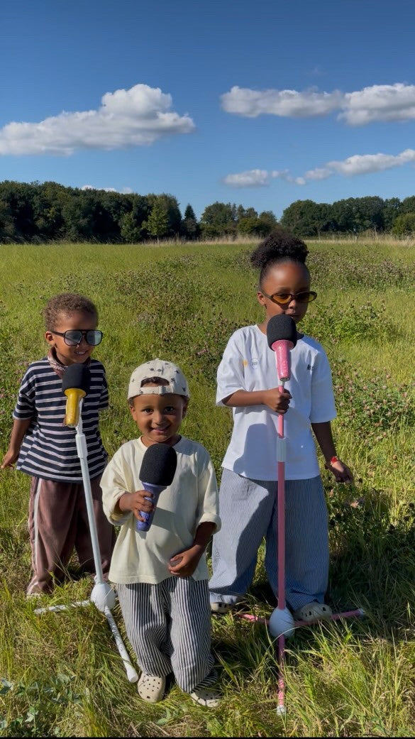 Lalarma gulvstativ, Mikrofonstativ - Rosa