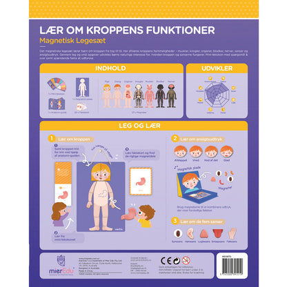 mierEdu, Magnetisk lekesett - Lær om kroppens funksjoner