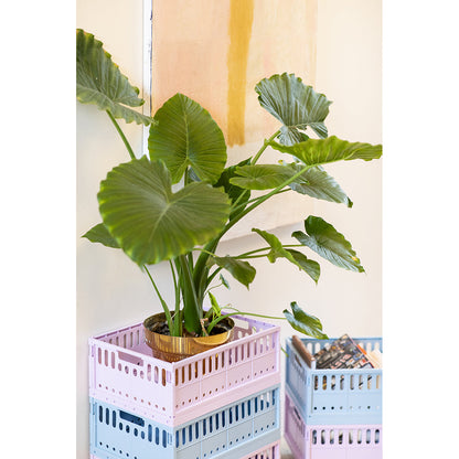 Made Crate, Sammenlegbar kasse i maksistørrelse - Lemon cream