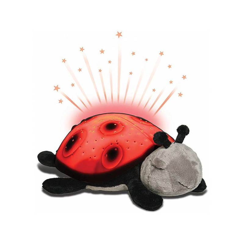 Nattlampe som danner stjernehimmel, marihøne - rød