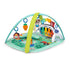 BABY Einstein 4-in-1 Kickin’ Tunes™ Musical Meadow™ - aktivitetstæppe med lyd