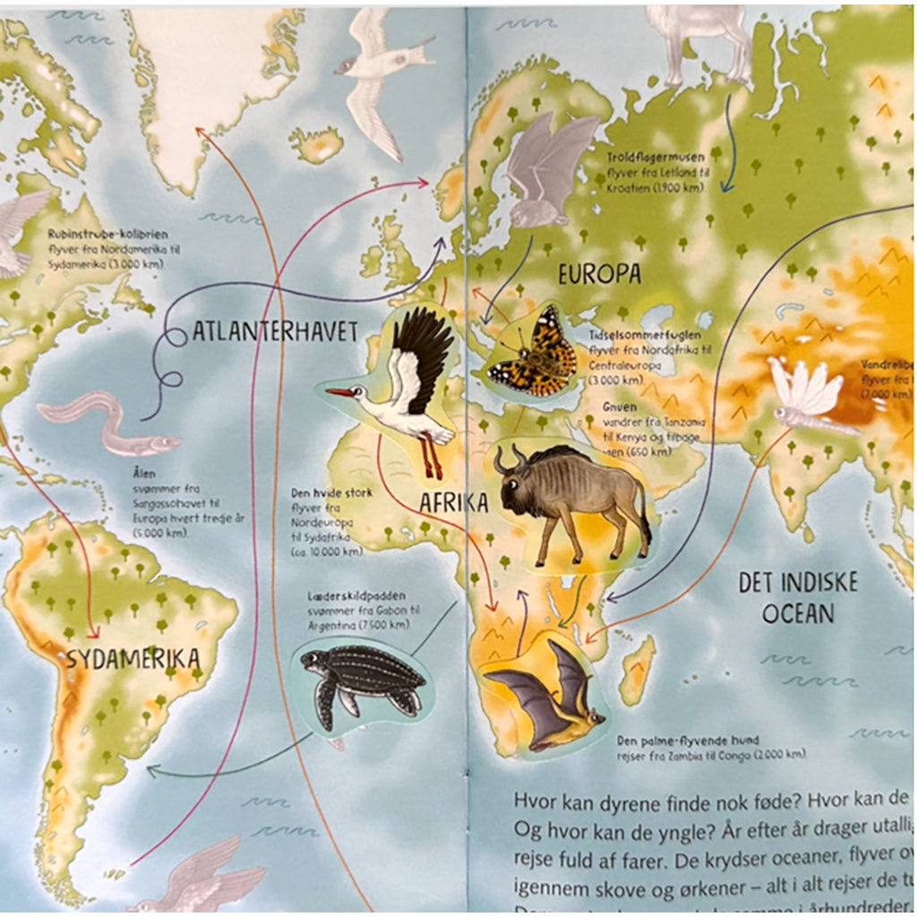 Forlaget Bolden, Naturens verden – med klistremerker – Atlas Verdens dyr