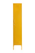 Mustard Made The Skinny skab, Mustard