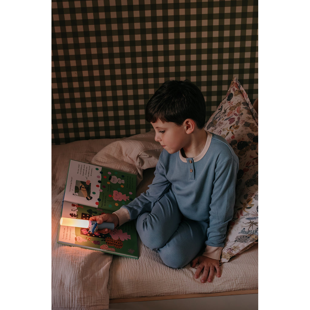 The ZooFamily, Zoo light, Lommelykt - Vaskebjørn