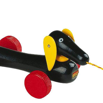 Brio Draleke i tre, Dachsie
