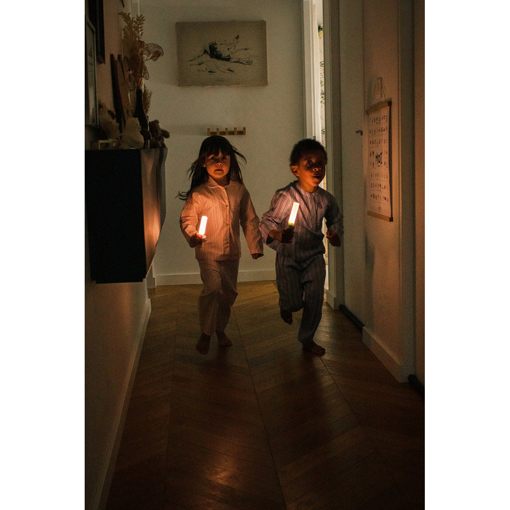 The ZooFamily, Zoo light, Lommelykt - Dino